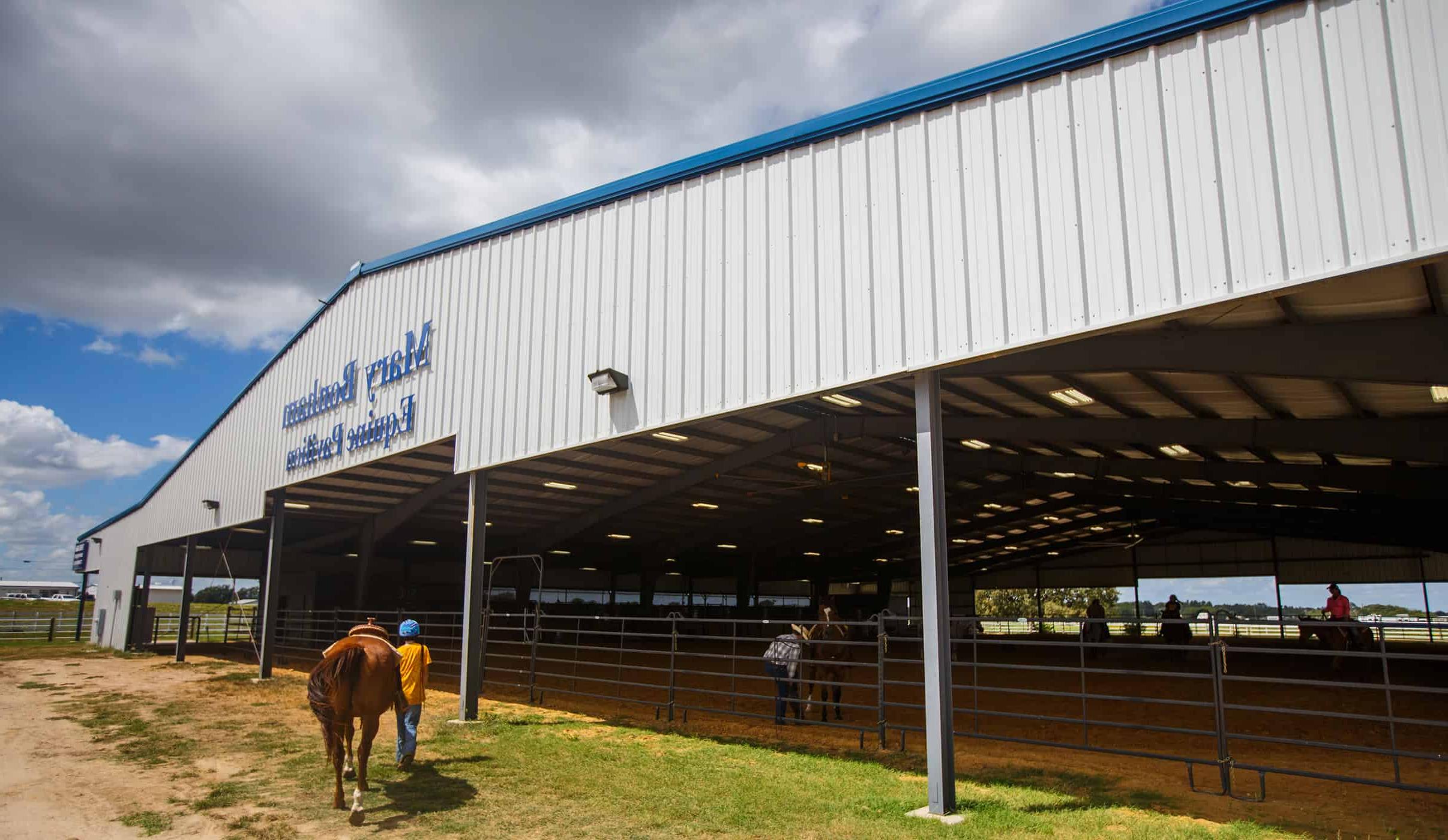 Equine facilities